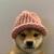 dogwifcoin