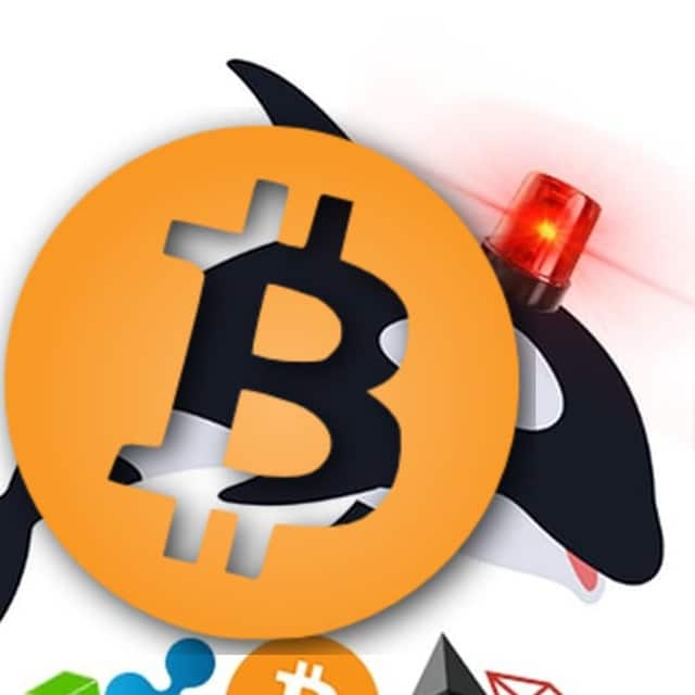 Whale Alert BTC logo