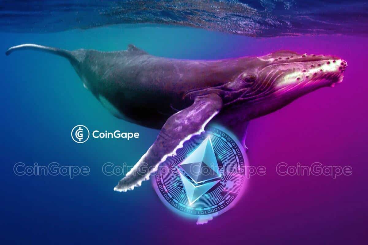 Whale Transfers