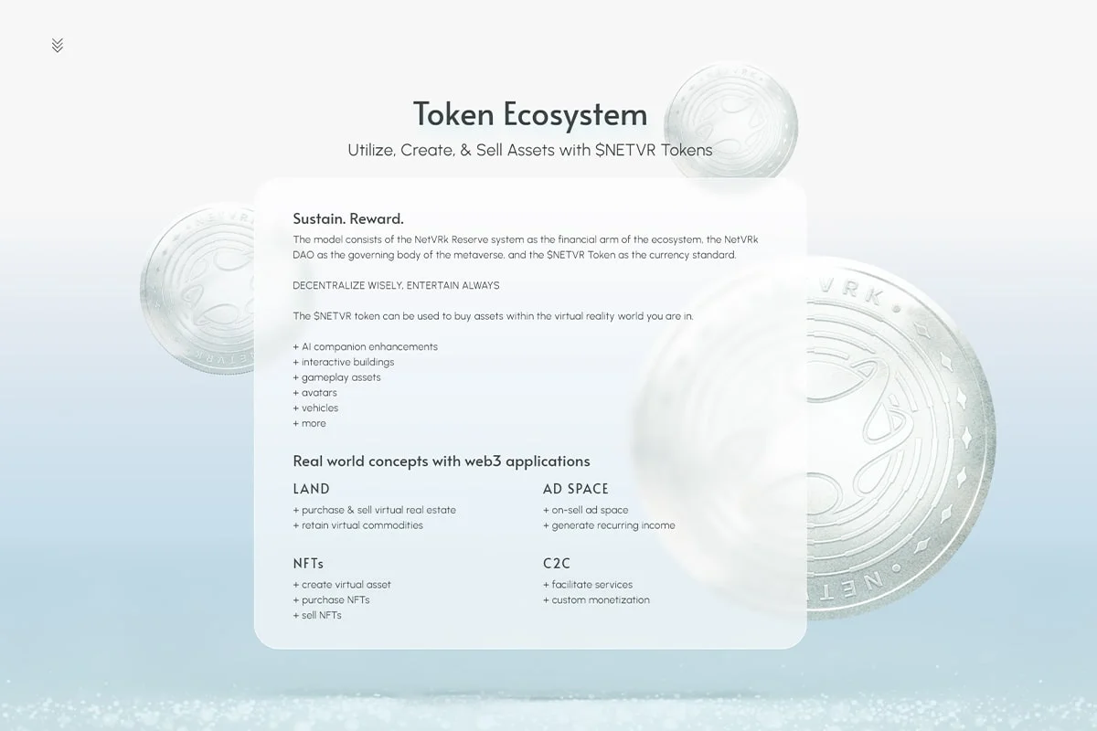 Netvrk ecosystem overview