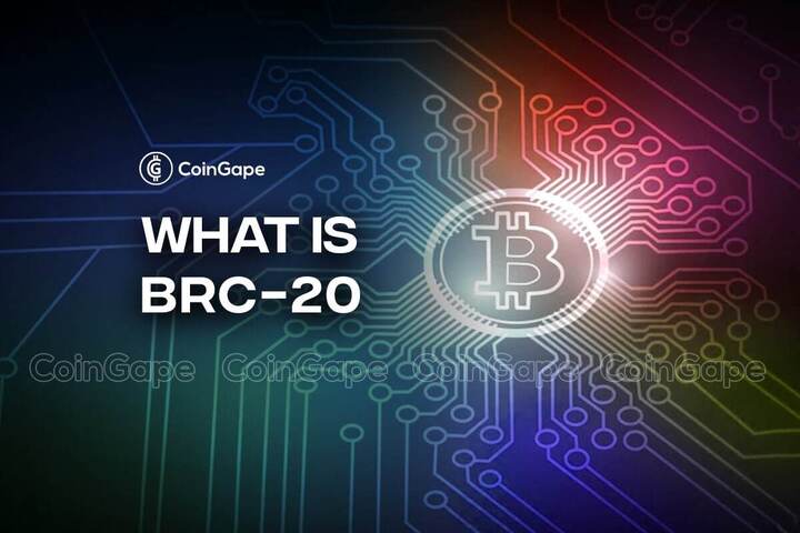 What is BRC 20 ?