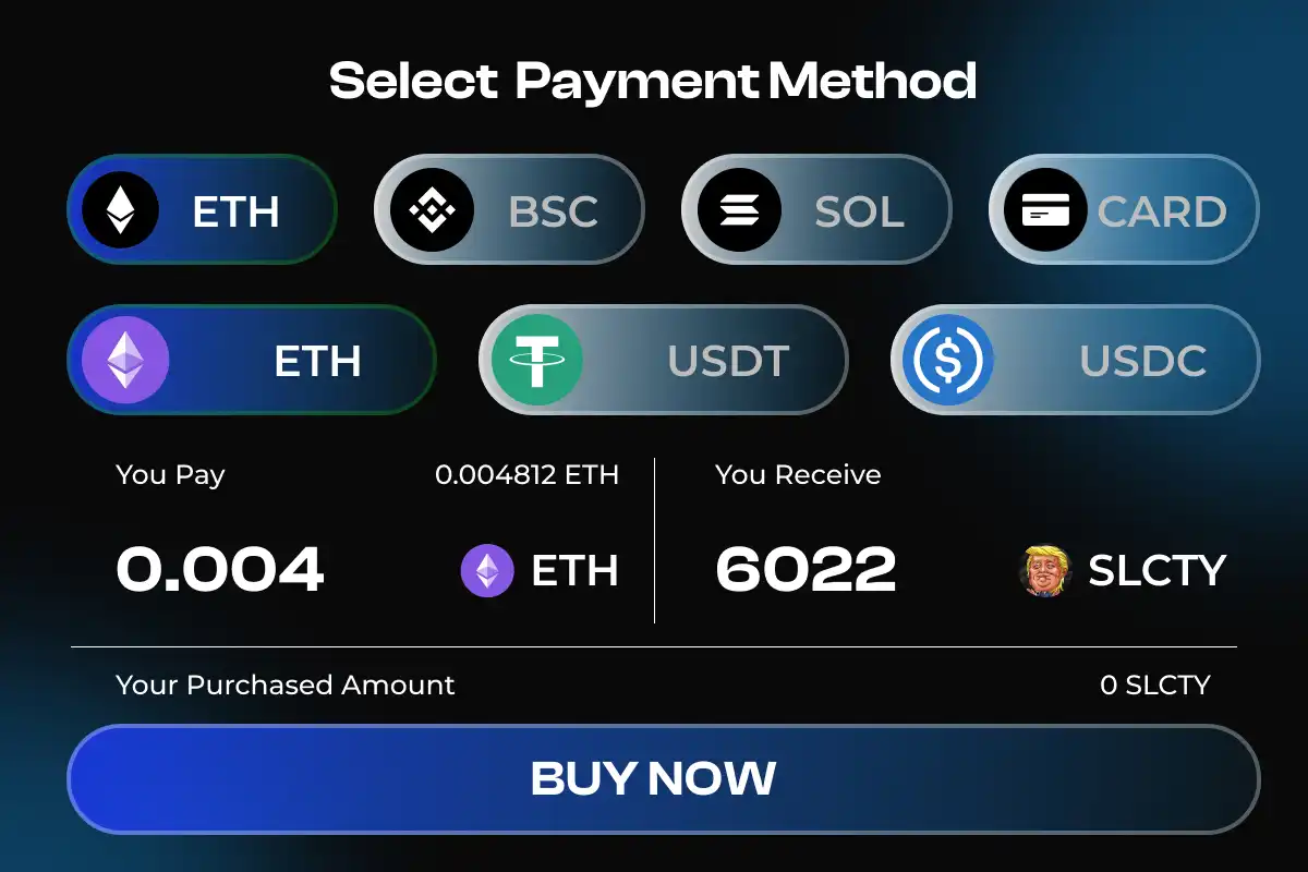 example of Payment methods on presale crypto website