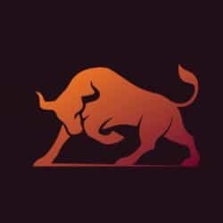 BullStarter