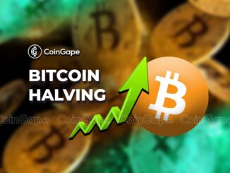 Bitcoin Halving Countdown BTC Price