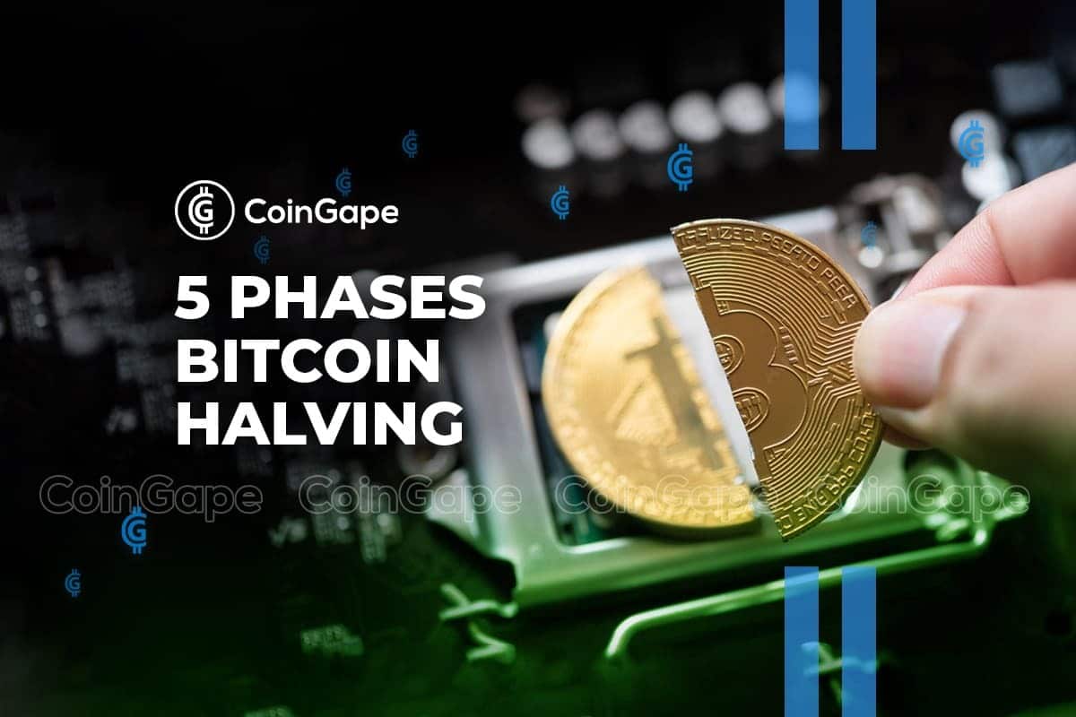 5 phases of bitcoin halving explained
