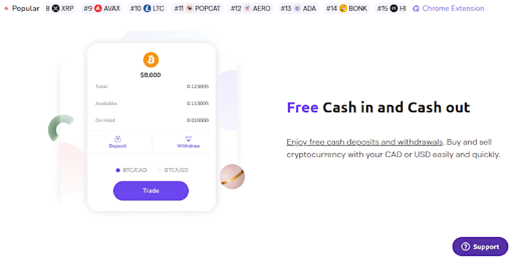 VirgoCX