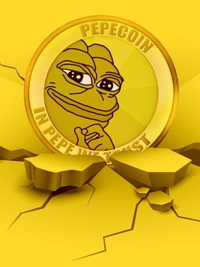 What's included in Pepe Coin's plans?