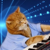 Keyboard-Cat-coin