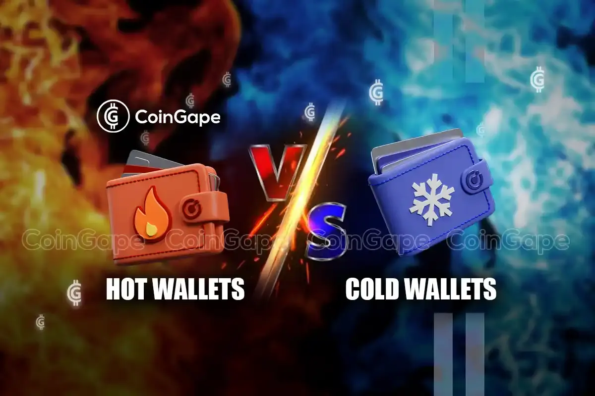Hot Wallets vs Cold Wallets