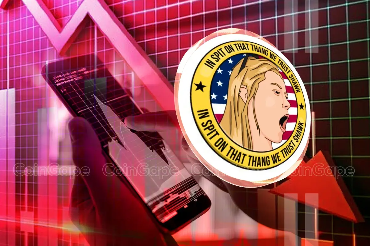 Investors are suing HAWK memecoin team