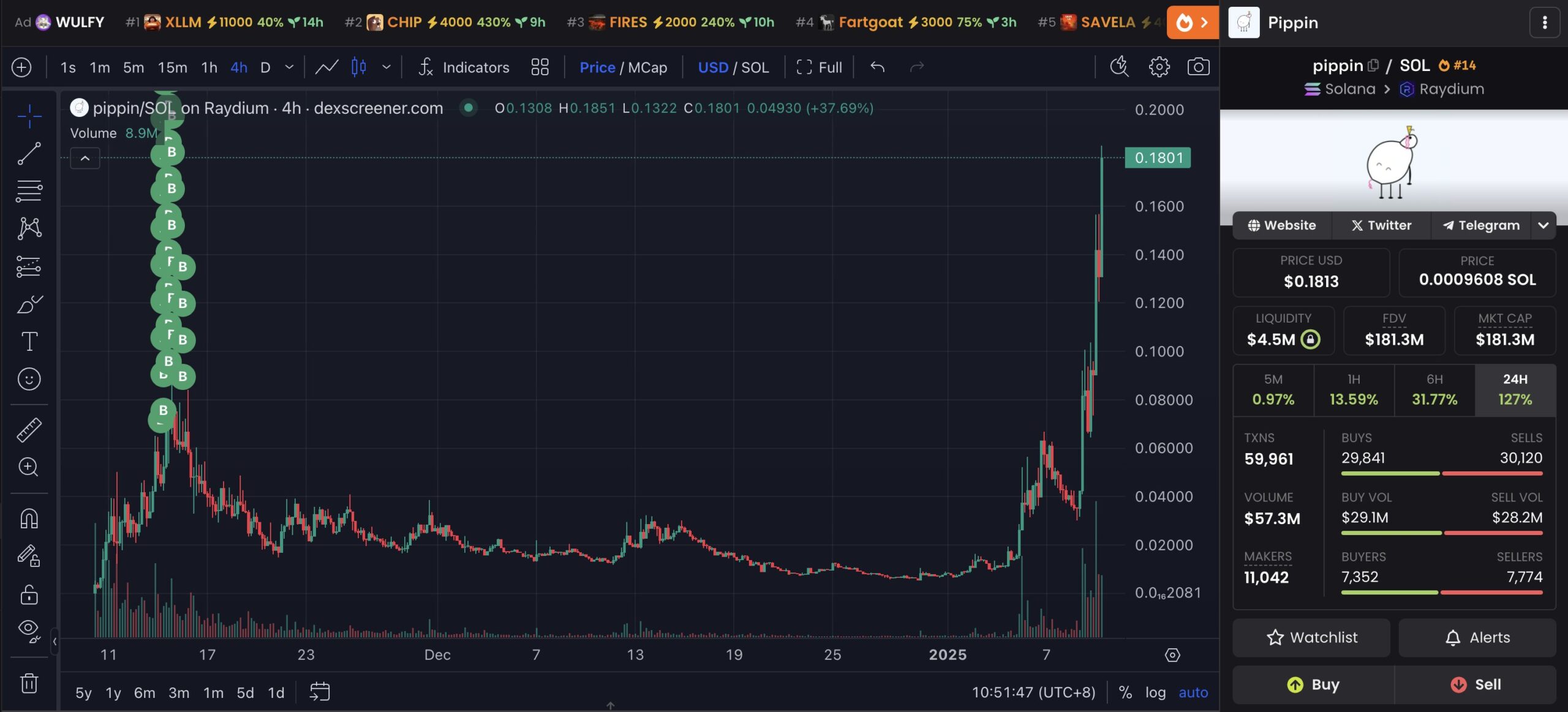 Crypto trader's PIPPIN buying