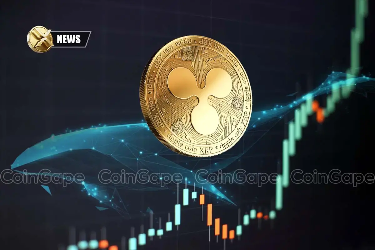 XRP News Ripple whales accumulation XRP price levels